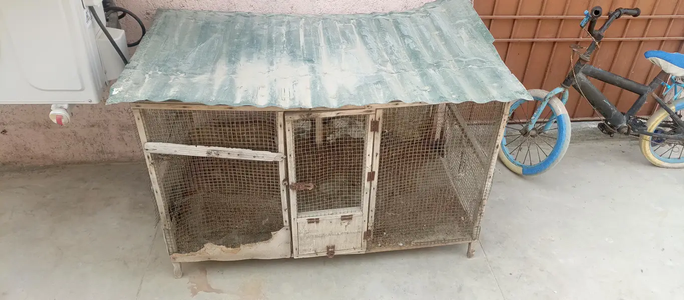 CAGE 5x3 feets with roof sheet