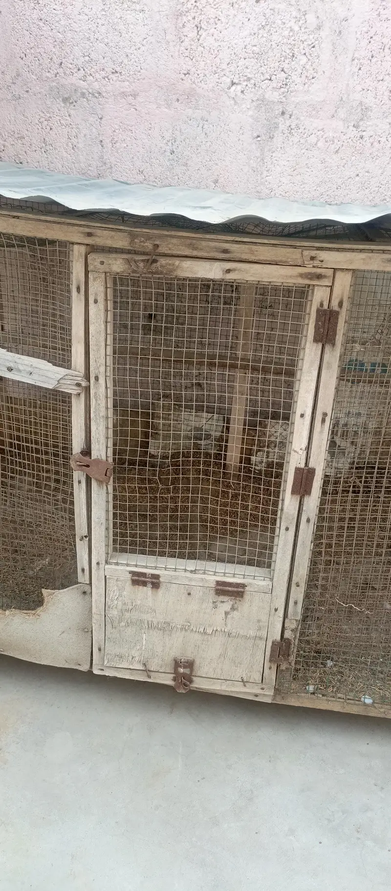 CAGE 5x3 feets with roof sheet — photo 2