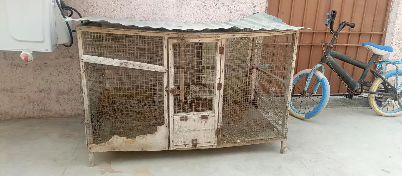 CAGE 5x3 feets with roof sheet — photo 3
