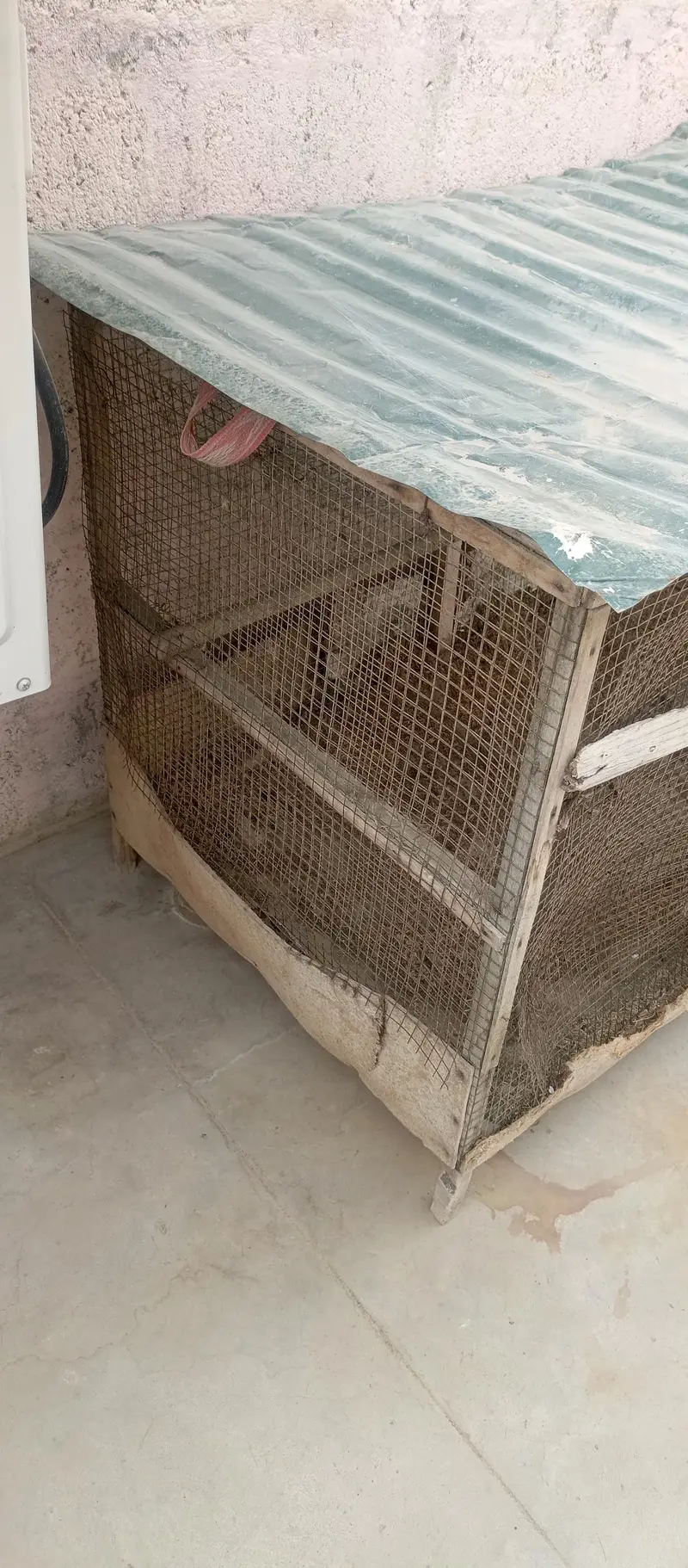 CAGE 5x3 feets with roof sheet — photo 4