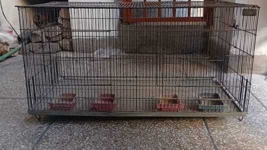 Large Parrot Cage for Sale – Only 1 Month Used – Includes Feeding Bowl