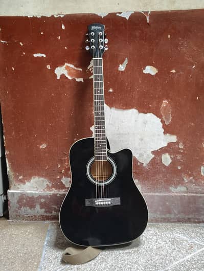 wash burn guitar