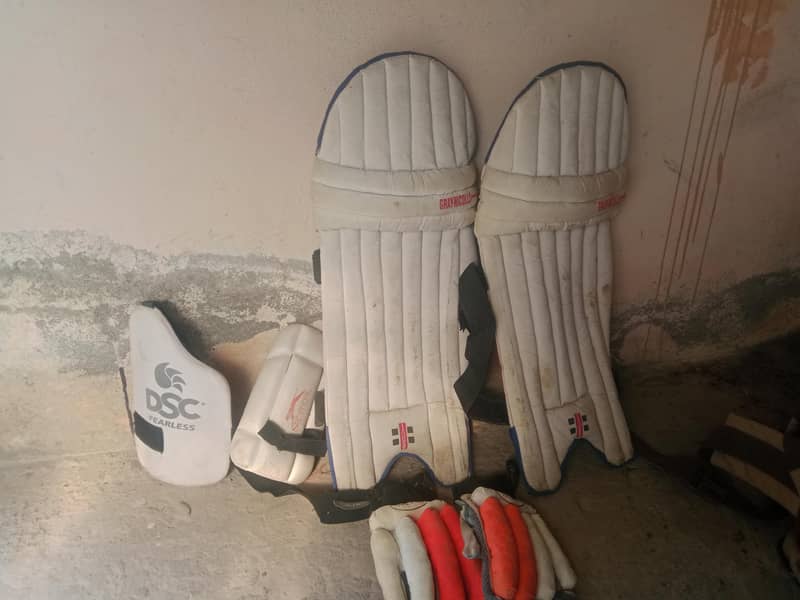 cricket kit 3