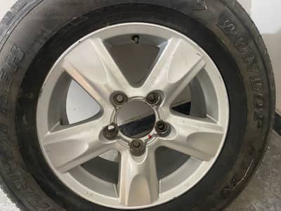 Pardo tx rim