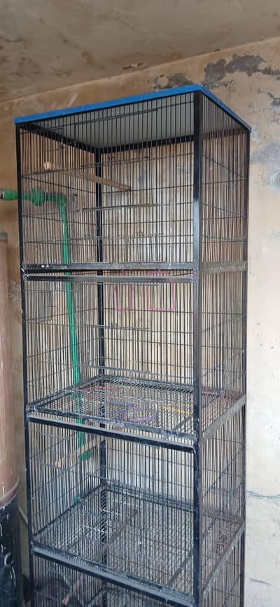 parrot cages
