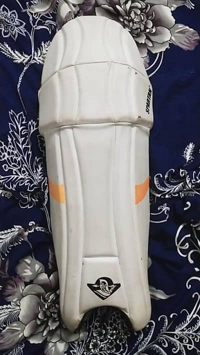 cricket pads