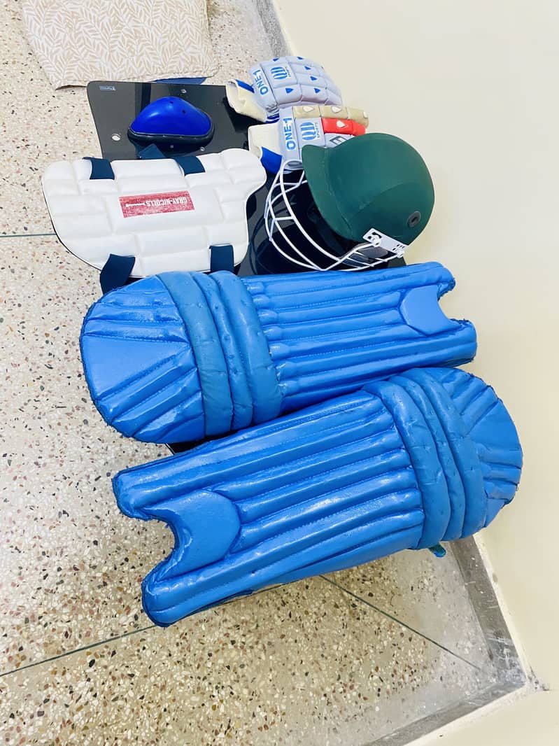 Cricket kit 2