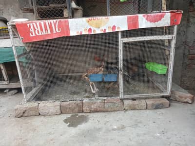 cage for sale