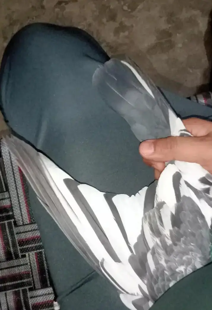 Dubwala Male purity ma — photo 2