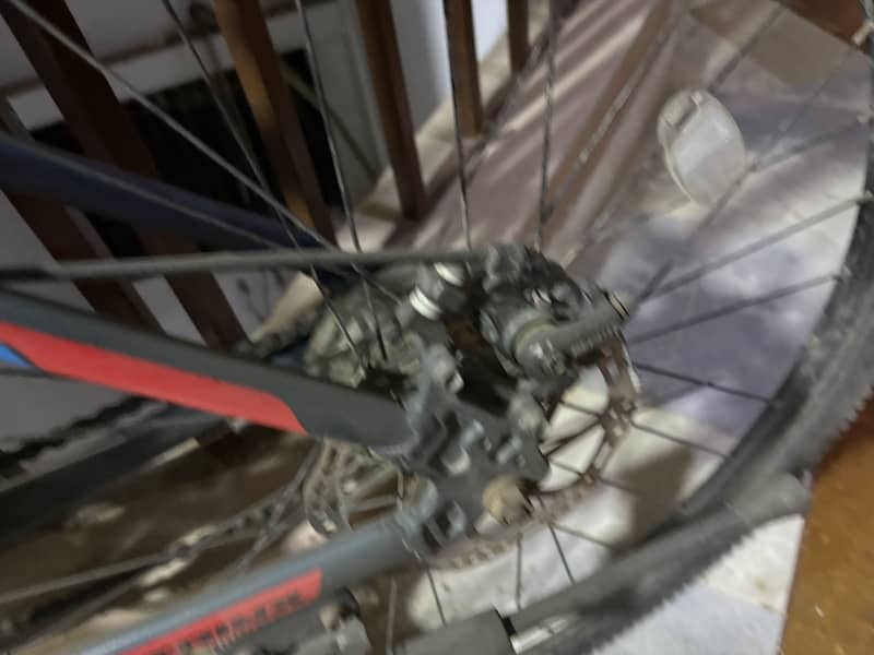 Trinx bicycle 3