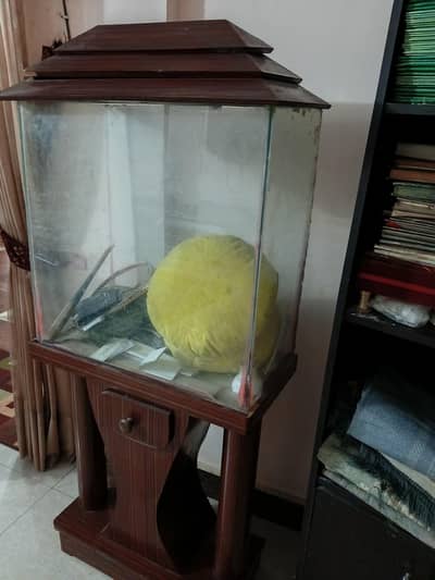 Aquarium with Wooden Cabinet Stand for Sale