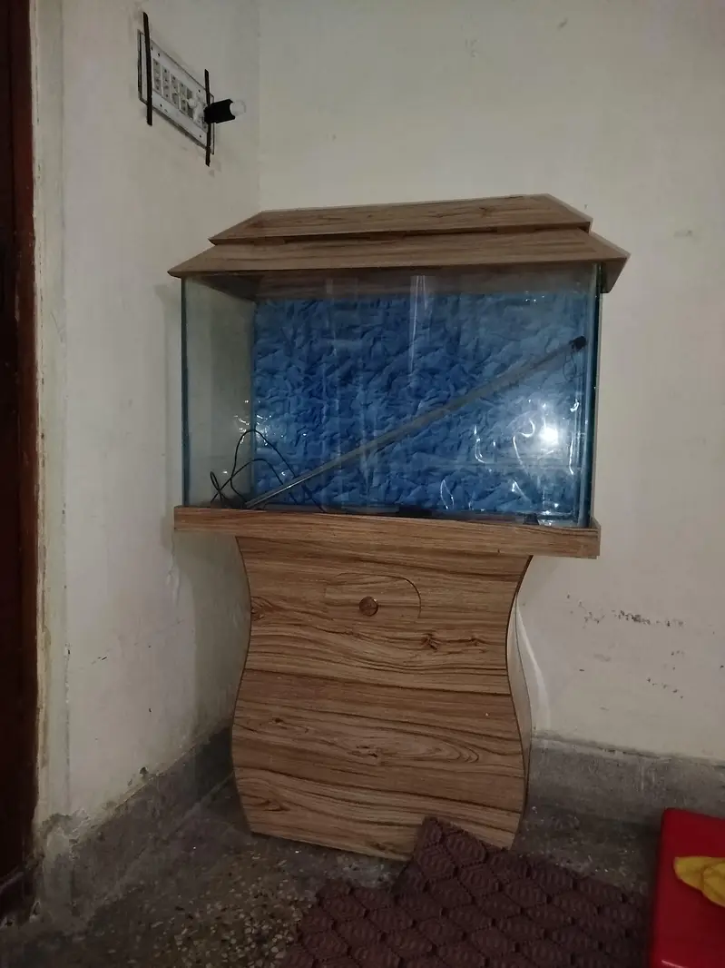 Fish Aquarium