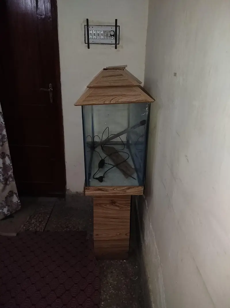 Fish Aquarium — photo 2