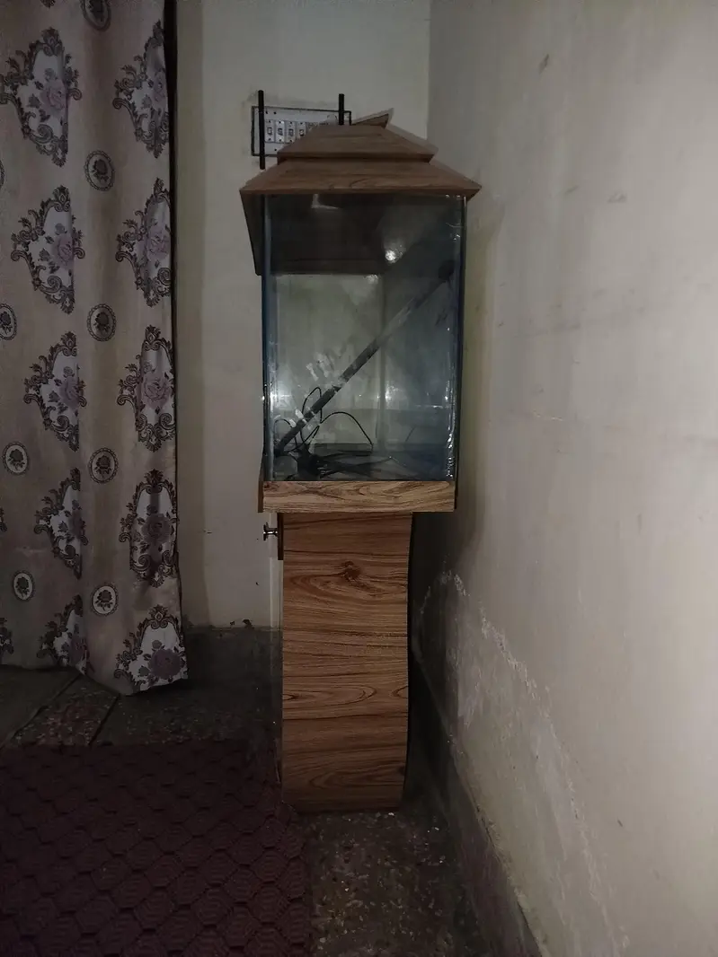 Fish Aquarium — photo 3