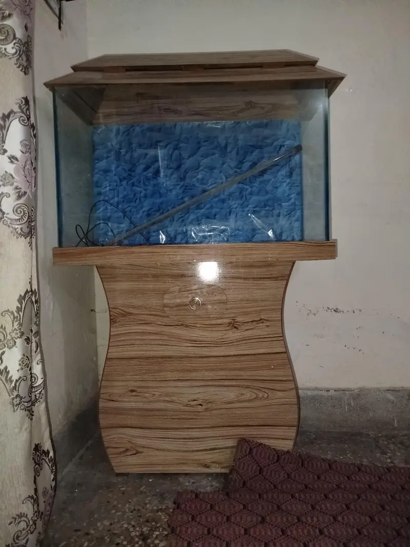 Fish Aquarium — photo 4