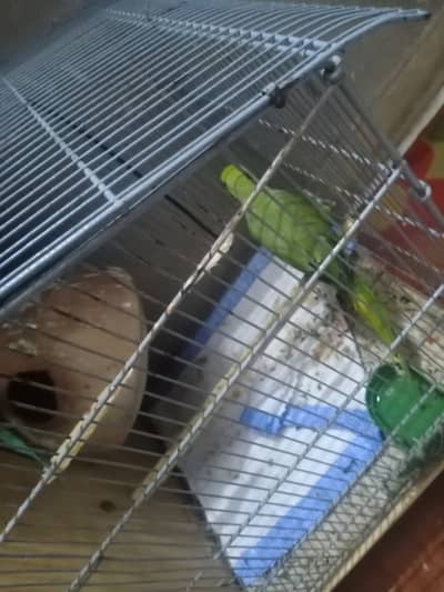 For sale