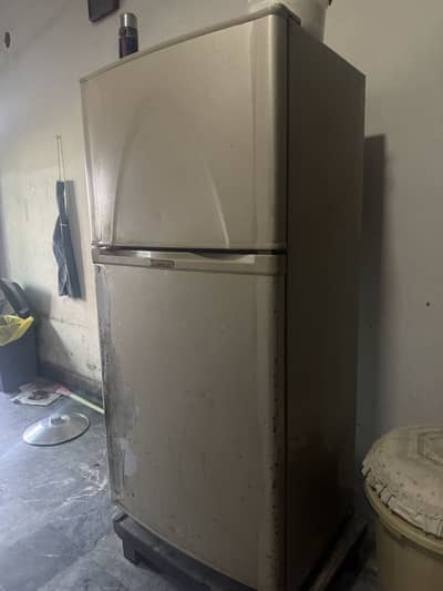 Jumbo size Refrigerators