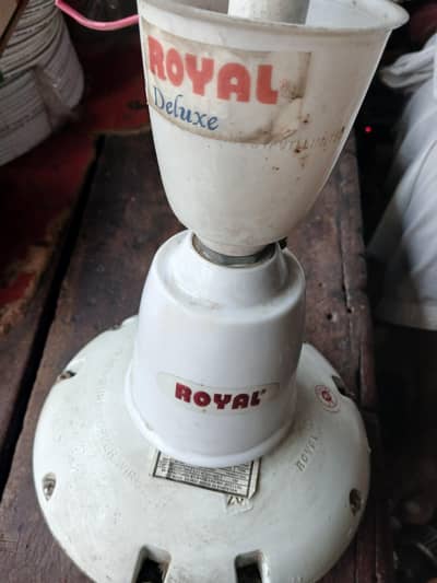 Royal fan copper