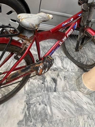Cycle
