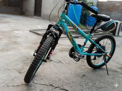 cycle with gears
