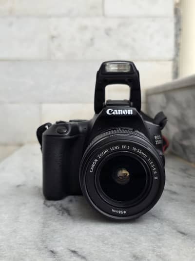 Canon 250D Camera
