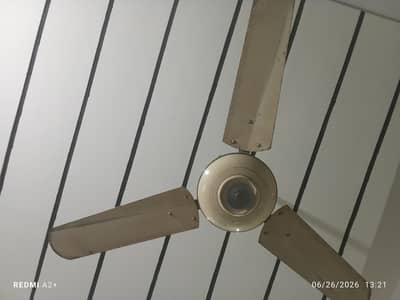 3 x Fans for sale