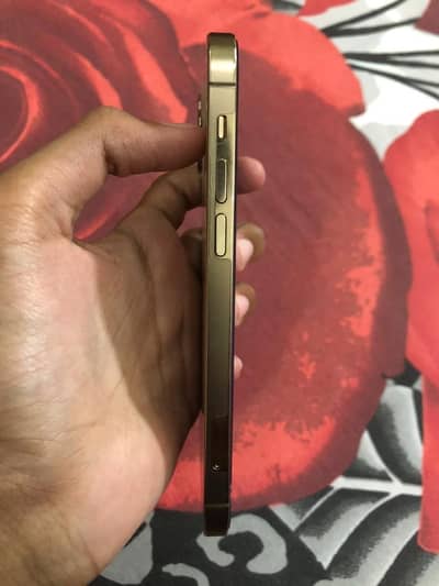 Apple iPhone 12 Pro