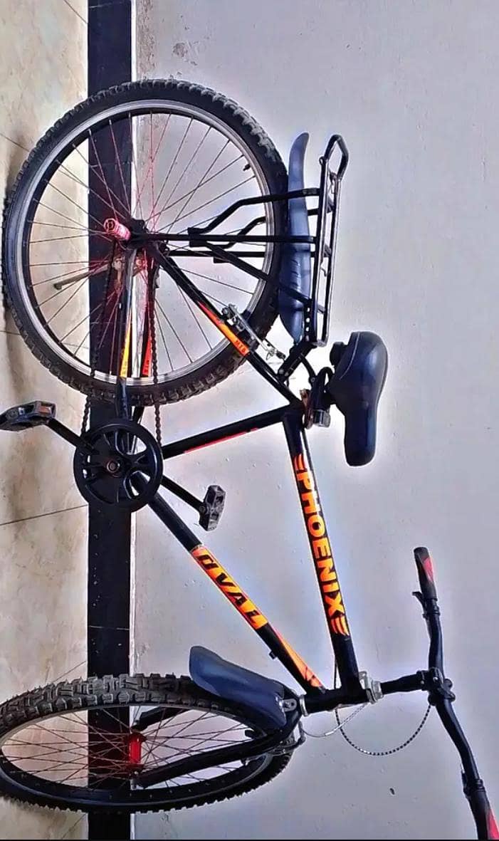 Phoenix Frame Bicycle 0