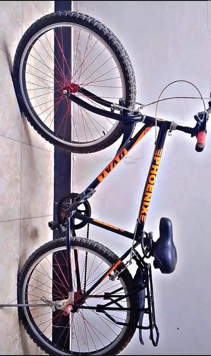 Phoenix Frame Bicycle 1