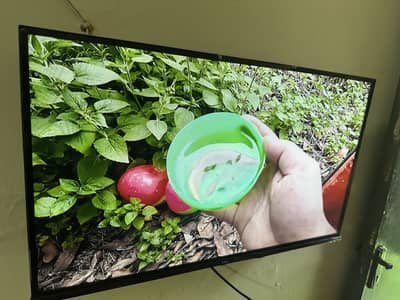 TCL 32” android tv with voice remote