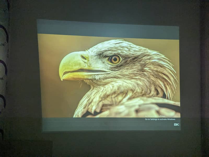 projector 8