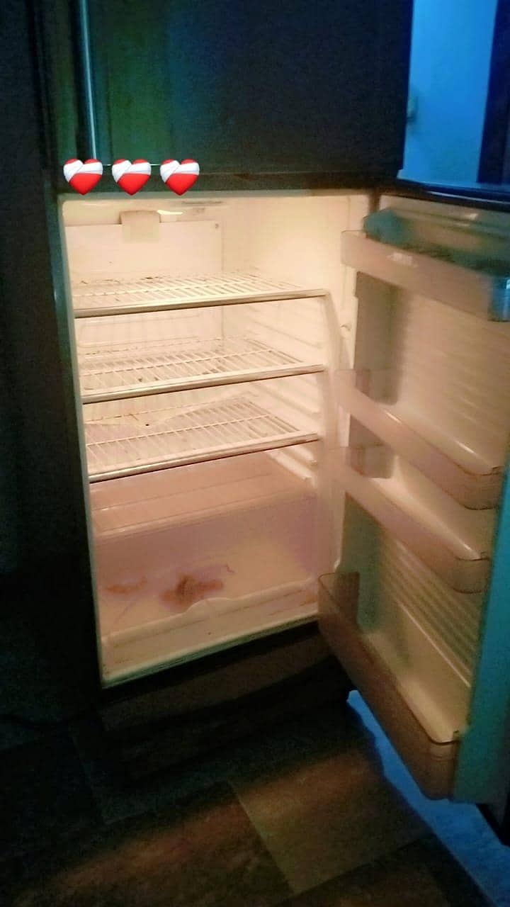 Fridge 1