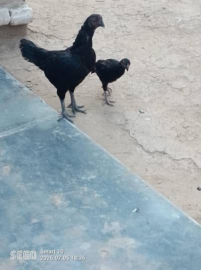 For sale