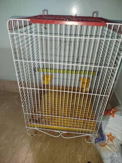 big size cage