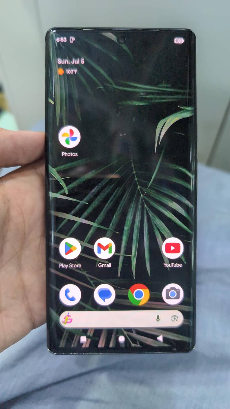 Google Pixel 6 Pro 1