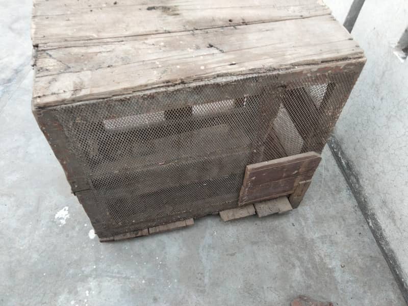 hen cage 1