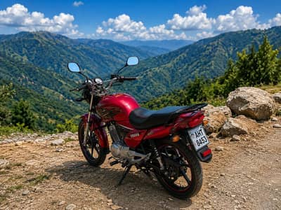 Yamaha Ybz Dx