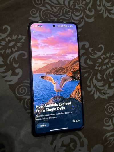OPPO Reno12 F