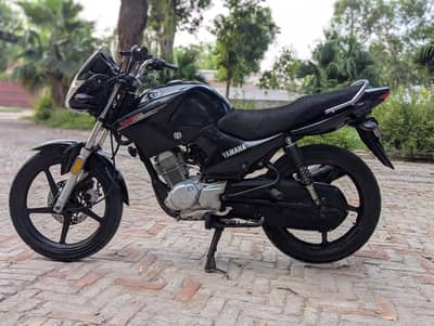 YAMAHA YBR ESD 03313939676
