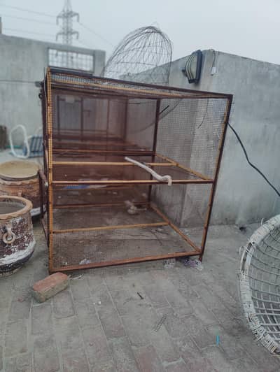 cage for birds (hens)