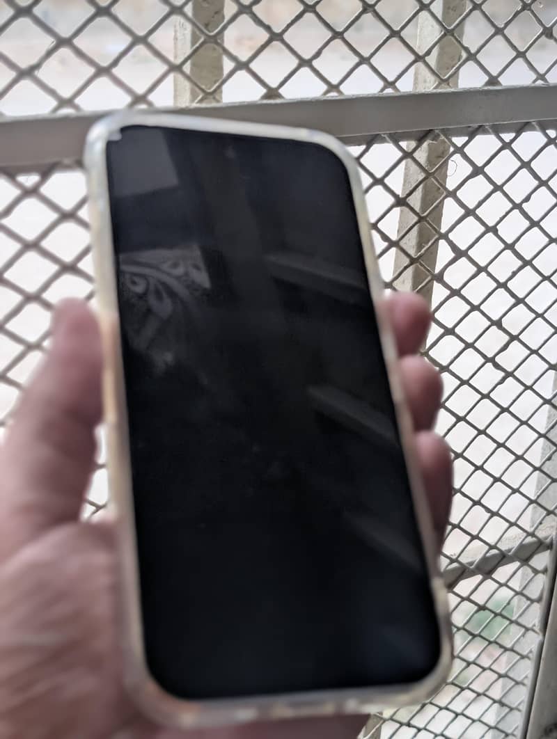 Google Pixel 9 Pro 1
