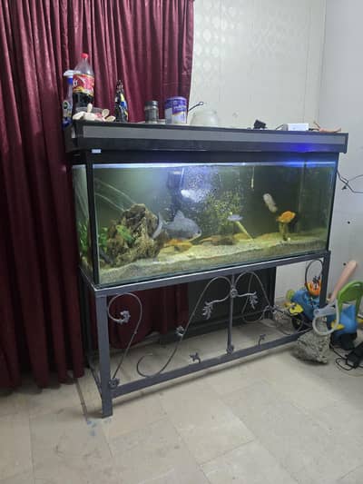 5 Ft Fish Aquarium with stand and hood