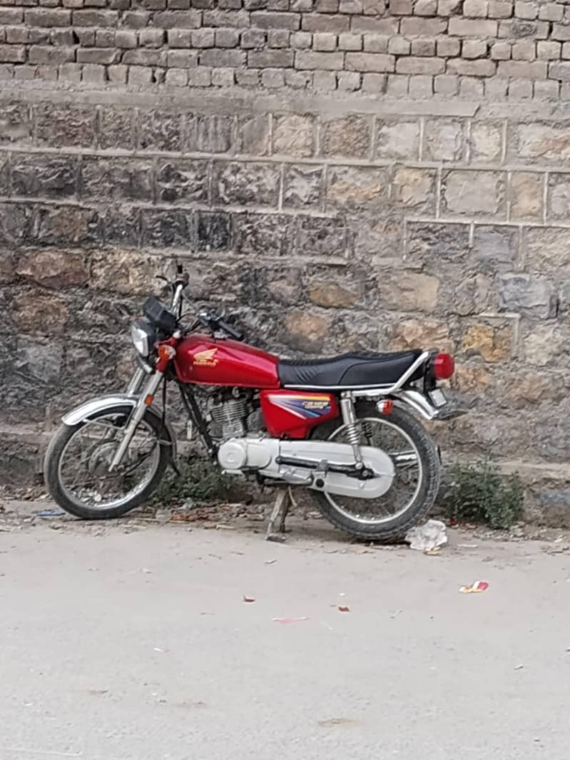 usama 1
