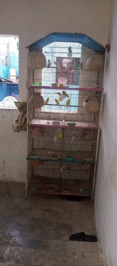 cage for sale
