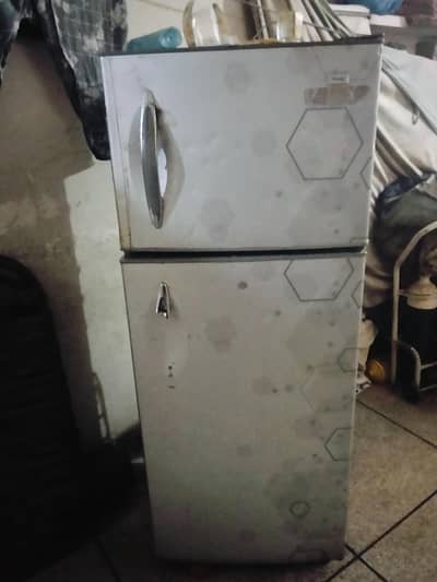 frige