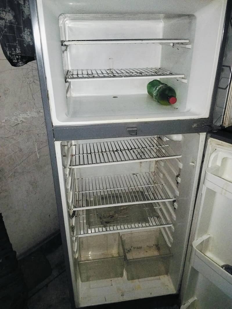 frige 3