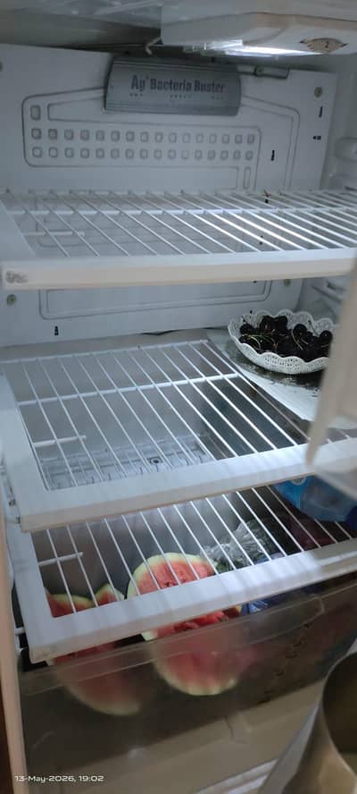 pel jambo size fridge