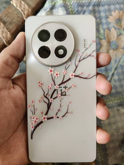 One Plus 13R