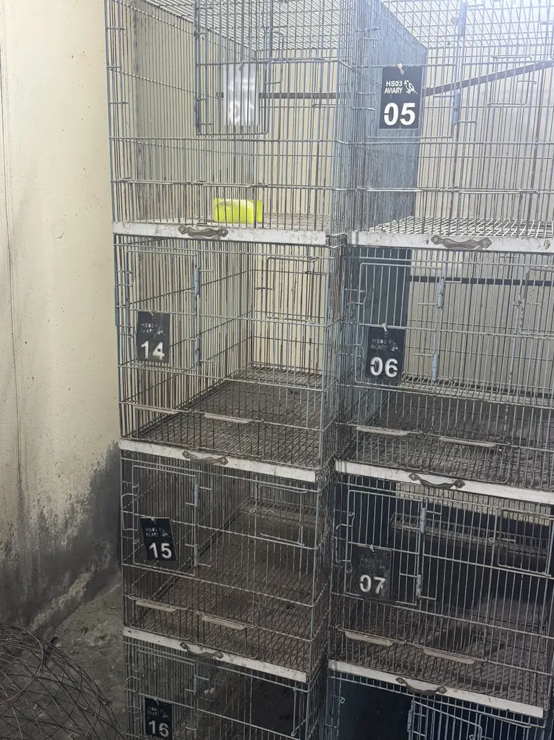 birds cages — photo 3