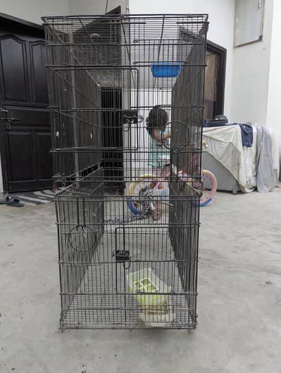 Heavy-Duty Foldable Cage for Sale